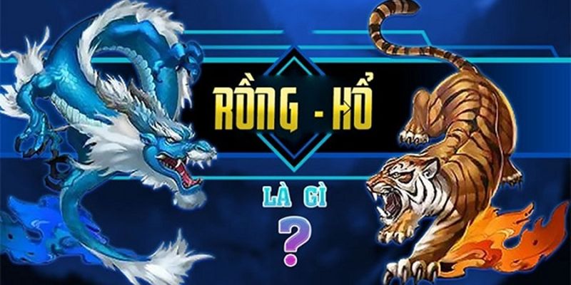 Rồng hổ m88 là gì